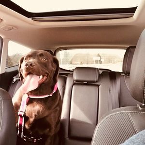 Meet your Posher, Mandi